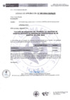 Vista preliminar de documento Código de Aprobación N 065-2024-CIEI HLEV - Tinco Arcos Fiorela