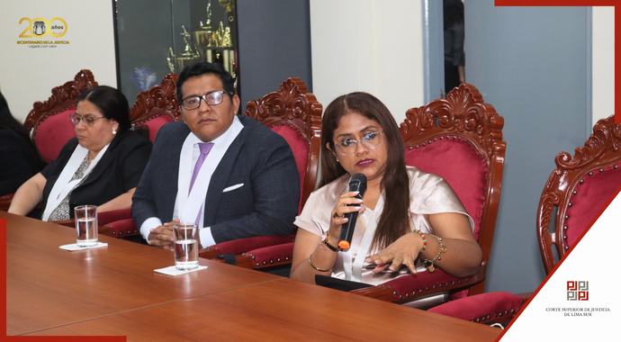 Valiosa reunión sostuvo la presidenta de la Corte de Lima Sur con jueces penales