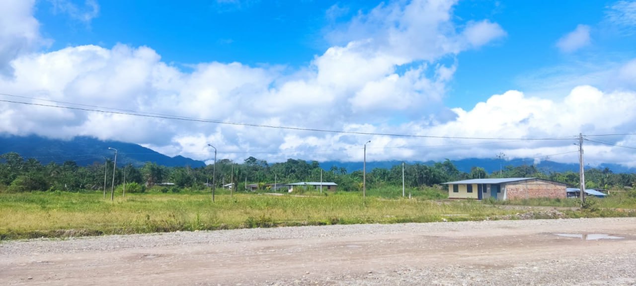 Selva