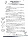 Vista preliminar de documento RGGR004-2025
