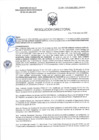 Vista preliminar de documento RD-0188-2025-DSAIA-DIRIS-LE-MINSA