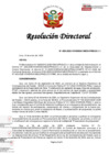Vista preliminar de documento RD 009-2025