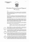 Vista preliminar de documento RGGR 002