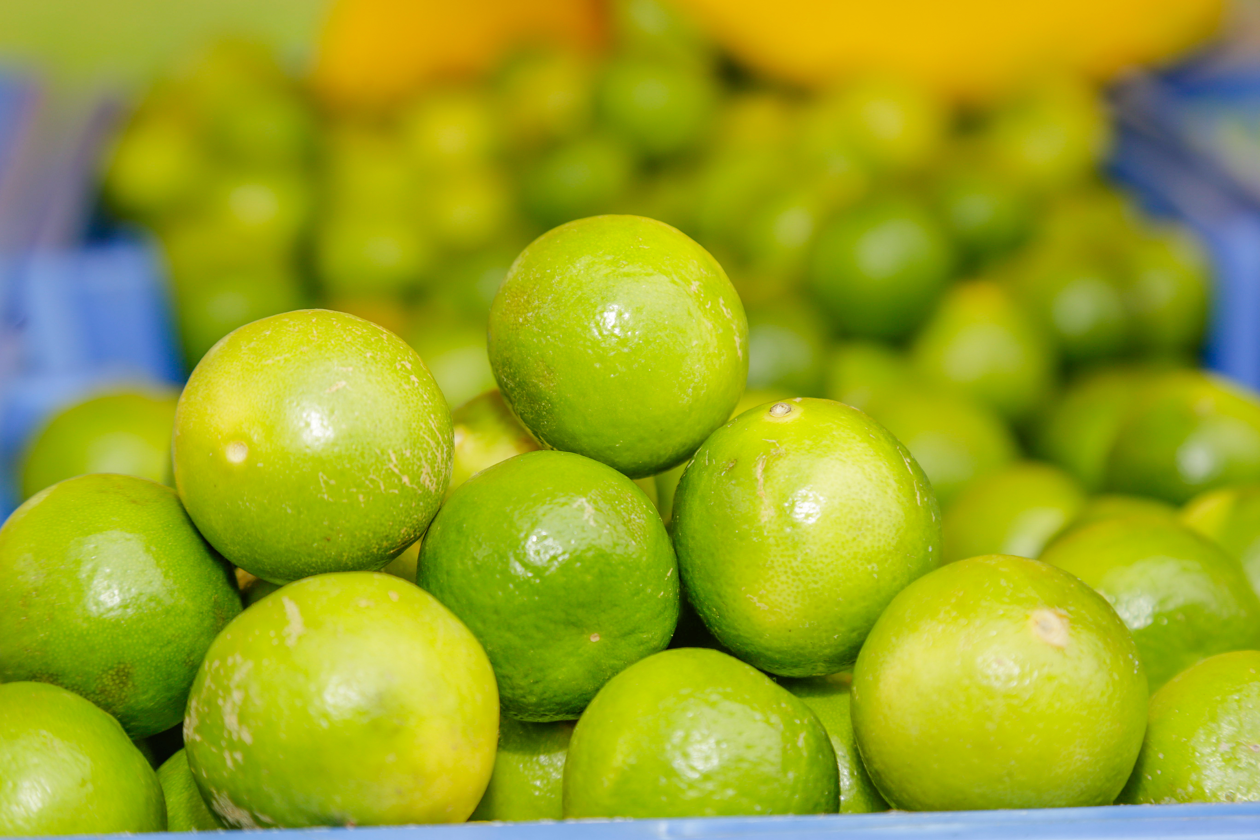 Hoy en los mercados mayoristas hay ofertas de limón, papa, zapallo, plátano, uva y piña
