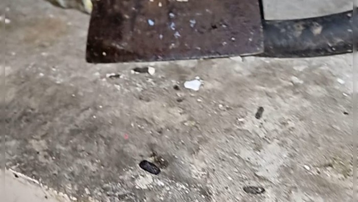 Heces de roedores