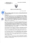 Vista preliminar de documento RD-0197-2025-DSAIA-DIRIS-LE-MINSA