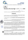 Vista preliminar de documento Resolucion Directoral N° 000006-2025