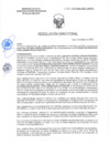 Vista preliminar de documento RD-0201-2025-DSAIA-DIRIS-LE-MINSA
