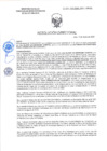 Vista preliminar de documento RD-0203-2025-DSAIA-DIRIS-LE-MINSA