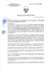 Vista preliminar de documento RD-0205-2025-DSAIA-DIRIS-LE-MINSA