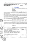 Vista preliminar de documento 4653