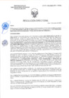 Vista preliminar de documento RD-0209-2025-DSAIA-DIRIS-LE-MINSA