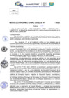 Vista preliminar de documento Resolucion Directoral N° 000008-2025
