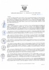 Vista preliminar de documento RD1