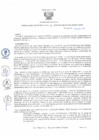 Vista preliminar de documento RA1