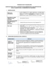 Vista preliminar de documento Proceso CAS N° 003-2025 – Sunarp Zona Registral N°IX