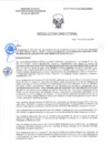 Vista preliminar de documento RD-0212-2025-DSAIA-DIRIS-LE-MINSA