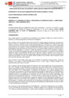 Vista preliminar de documento RJD_87-2024-DIAD