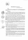 Vista preliminar de documento RA-608-2019-Declarar-la-capacidad-de-WALTER-ULISES-GAMERO-BUENO-y-CLAUDIA-JULIA-NEIRA-SISA-2019