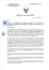 Vista preliminar de documento RD-0219-2025-DSAIA-DIRIS-LE-MINSA