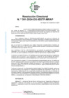 Vista preliminar de documento R.D. 391-2024-DG