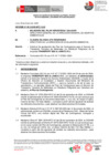 Vista preliminar de documento INFORME N°013-2025