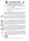Vista preliminar de documento 4695