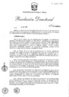 Vista preliminar de documento ResDir454-2016 oga