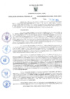 Vista preliminar de documento RES-015-2025-GRDS