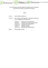 Vista preliminar de documento Anexo