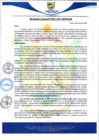Vista preliminar de documento rgm01