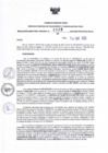 Vista preliminar de documento RDR N°028-2025-14-01-2025