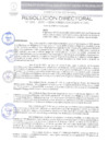 Vista preliminar de documento N.º 043-2025-GRSM/DIRESA-SM/OGESS-AH/DG