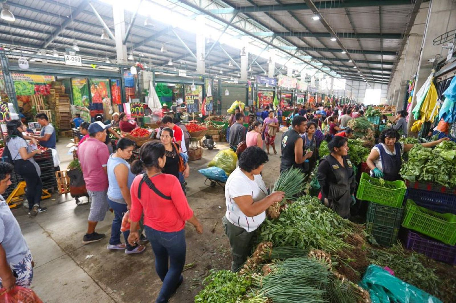 Servicios y plataformas del MIDAGRI mantienen informados a productores sobre intenciones de siembra y precios en mercados
