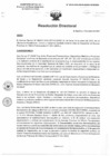 Vista preliminar de documento R.D. 019-2025-DMID-DIRIS- LE-MINSA