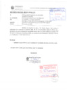 Vista preliminar de documento Cuadro Multianual de Necesidades 2025-2028 (Anexo 04)