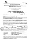 Vista preliminar de documento R.E.E.A.A 009-2025-06-01-2025