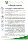 Vista preliminar de documento ORDENANZA MUNICIPAL Nº001-2025
