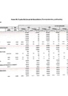 Vista preliminar de documento Anexo 06 - Modificación CMN Enero 2025