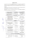 Vista preliminar de documento COMUNICADO N° 02-AMPLIACION DE CRONOGRAMA