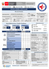 Vista preliminar de documento REPORTE GTGRD 13-01 TURNO DIA