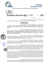 Vista preliminar de documento Resolucion Directoral N° 000009-2025