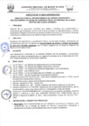 Vista preliminar de documento DIRECTIVA N°01