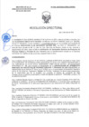 Vista preliminar de documento RD-0196-2025-DSAIA-DIRIS-LE-MINSA