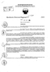 Vista preliminar de documento RDR 10289-2024