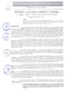 Vista preliminar de documento  N.º 040-2025-GRSM/DIRESA-SM/OGESS-AH/DG
