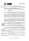 Vista preliminar de documento RDR 10297-2024