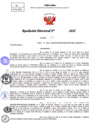 Vista preliminar de documento Resolucion Directoral N° 000014-2025