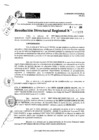 Vista preliminar de documento RDR 10298-2024