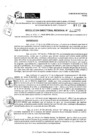 Vista preliminar de documento RDR 10299-2024